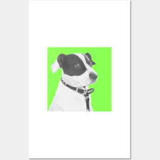 Jack Russell Crossbreed in Green Headshot Posters and Art